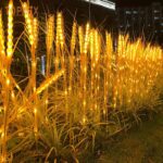 Solar Meadow Light