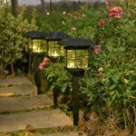 Luminary Solar garden Lights